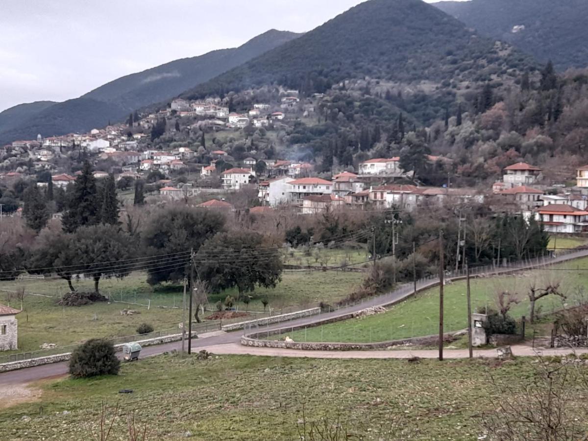 Hotel Dimitra à Dafni  Chambre photo